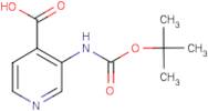 3-[(tert-Butoxycarbonyl)amino]isonicotinic acid