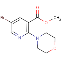 Methyl 5-bromo-2-morpholinonicotinate