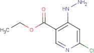 Ethyl 6-chloro-4-hydrazinylpyridine-3-carboxylate