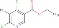 Ethyl 5-bromo-4,6-dichloronicotinate