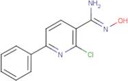 2-Chloro-N'-hydroxy-6-phenyl-3-pyridinecarboximidamide