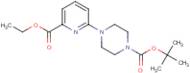 tert-Butyl 4-[6-(ethoxycarbonyl)pyridin-2-yl]piperazine-1-carboxylate