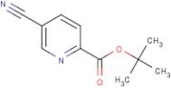 tert-Butyl 5-cyano-2-pyridinecarboxylate