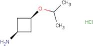 cis-3-(Propan-2-yloxy)cyclobutan-1-amine hydrochloride
