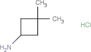 3,3-Dimethylcyclobutan-1-amine hydrochloride