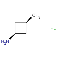 cis-3-Methylcyclobutan-1-amine hydrochloride