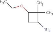 3-Ethoxy-2,2-dimethylcyclobutan-1-amine