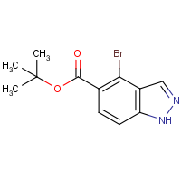 tert-Butyl 4-bromo-1H-indazole-5-carboxylate