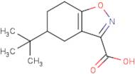 5-tert-Butyl-4,5,6,7-tetrahydro-1,2-benzoxazole-3-carboxylic acid