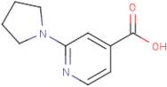2-(Pyrrolidin-1-yl)isonicotinic acid