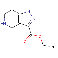 Ethyl 4,5,6,7-tetrahydro-1H-pyrazolo[4,3-c]pyridine-3-carboxylate