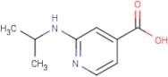 2-(Propan-2-ylamino)isonicotinic acid
