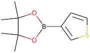 Thiophene-3-boronic acid, pinacol ester