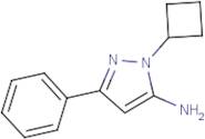 1-Cyclobutyl-3-phenyl-1H-pyrazol-5-amine
