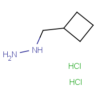 (Cyclobutylmethyl)hydrazine dihydrochloride