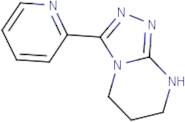 2-{5H,6H,7H,8H-[1,2,4]Triazolo[4,3-a]pyrimidin-3-yl}pyridine