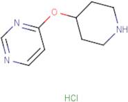 4-(Piperidin-4-yloxy)pyrimidine hydrochloride