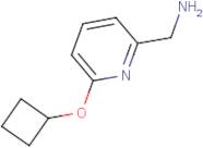 (6-Cyclobutoxypyridin-2-yl)methanamine