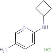 N2-Cyclobutylpyridine-2,5-diamine hydrochloride