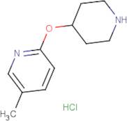 5-Methyl-2-(piperidin-4-yloxy)pyridine hydrochloride