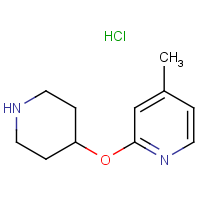 4-Methyl-2-(piperidin-4-yloxy)pyridine hydrochloride