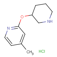 4-Methyl-2-(piperidin-3-yloxy)pyridine hydrochloride