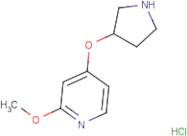 2-Methoxy-4-(pyrrolidin-3-yloxy)pyridine hydrochloride