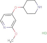 2-Methoxy-4-(piperidin-4-yloxy)pyridine hydrochloride