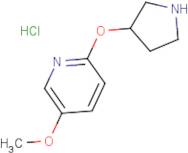 5-Methoxy-2-(pyrrolidin-3-yloxy)pyridine hydrochloride