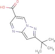 2-tert-Butylpyrazolo[1,5-a]pyrimidine-6-carboxylic acid