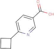 6-Cyclobutylnicotinic acid