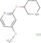 4-Methoxy-2-(piperidin-3-yloxy)pyridine hydrochloride