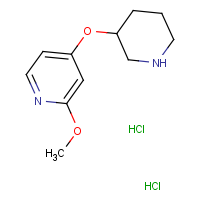 2-Methoxy-4-(piperidin-3-yloxy)pyridine dihydrochloride