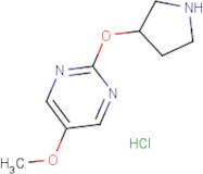 5-Methoxy-2-(pyrrolidin-3-yloxy)pyrimidine hydrochloride