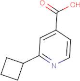 2-Cyclobutylisonicotinic acid