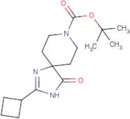 tert-Butyl 2-cyclobutyl-4-oxo-1,3,8-triazaspiro[4.5]dec-1-ene-8-carboxylate