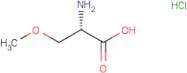 (S)-2-Amino-3-methoxy-propionic acid hydrochloride