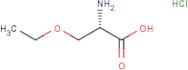 (S)-2-Amino-3-ethoxy-propionic acid hydrochloride