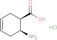 cis-6-Amino-cyclohex-3-enecarboxylic acid hydrochloride