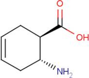 trans-6-Amino-cyclohex-3-enecarboxylic acid
