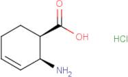 Cis-2-Amino-cyclohex-3-enecarboxylic acid hydrochloride