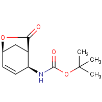 tert-Butyl N-[(1R*,2S*,5S*)-7-oxo-6-oxabicyclo[3.2.1]oct-3-en-2-yl]carbamate