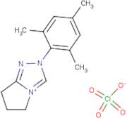 2-(2,4,6-Trimethyl-phenyl)-2,5,6,7-tetrahydro-pyrrolo[2,1-c][1,2,4]triazol-4-ylium perchlorate