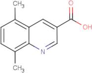 5,8-Dimethylquinoline-3-carboxylic acid