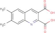 6,7-Dimethylquinoline-2,3-dicarboxylic acid