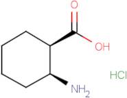 cis-2-Amino-1-cyclohexanecarboxylic acid hydrochloride