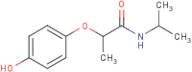 2-(4-Hydroxyphenoxy)-N-(propan-2-yl)propanamide