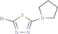 2-Bromo-5-(pyrrolidin-1-yl)-1,3,4-thiadiazole