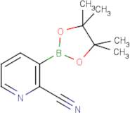 2-Cyanopyridine-3-boronic acid pinacol ester