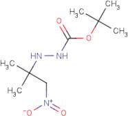 tert-Butyl 2-(2-methyl-1-nitropropan-2-yl)hydrazinecarboxylate